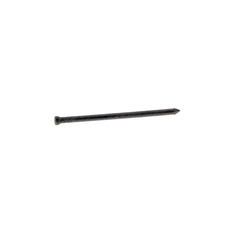 Grip-Rite 10D 3 Inch Finishing Hot-Dipped Galvanized Steel Nail Brad Head 5 lb Pack 6 Construction Nails