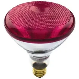 100 Watt Red Flood Light Bulb Event Lighting Westpointe