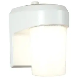 Regent Entry Light White 13-Watt Fluorescent Fixture Hallways Various