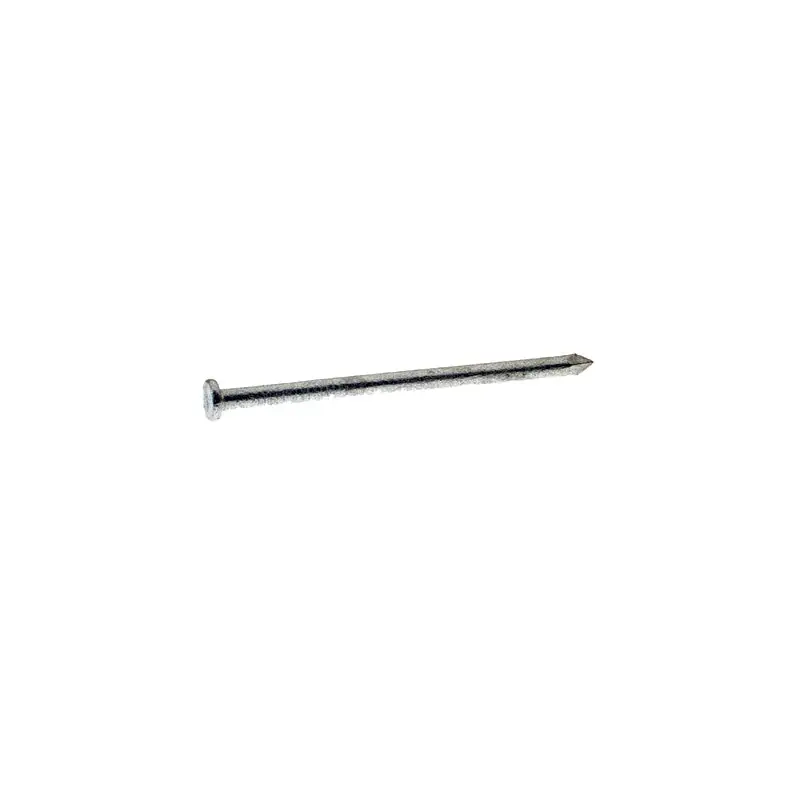 Grip-Rite 40D 5in Hot-Dipped Galvanized Steel Nails Oval Head 50lb