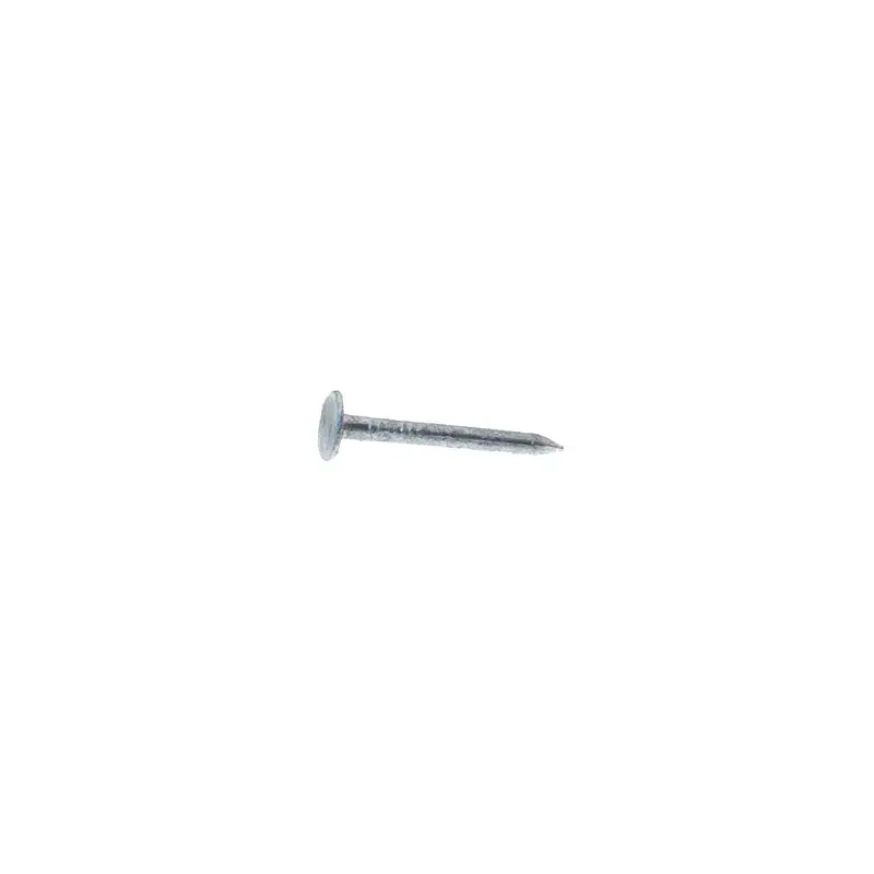 Grip-Rite 1 Inch Roofing Hot-Dipped Galvanized Steel Nail Flat 5 lb Pack 6