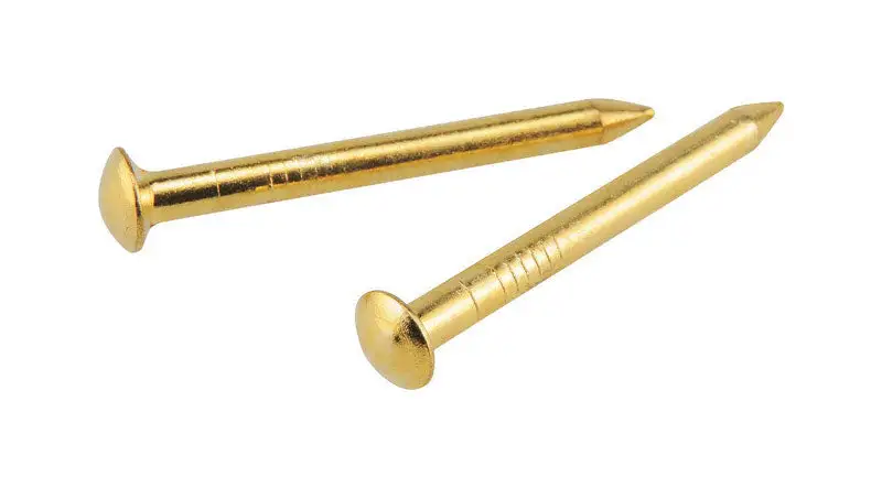 Hillman OOK Brass-Plated Hardwall Picture Hanging Nails 10 lb Pack 12